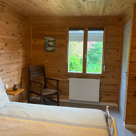 Le Chant Des Oiseaux