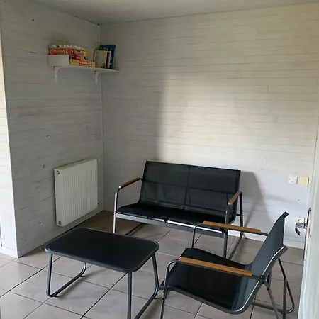 Le Chant Des Oiseaux