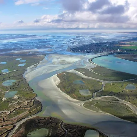Le Chant Des Oiseaux Pour Quatre A Quelques Minutes De La Baie De Somme Entre Nature Et Teletravail 3* Nibas